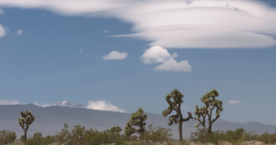 48 Horas en San Bernardino – Una Guía Completa