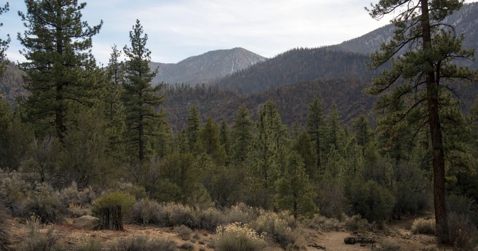 48 Horas en San Bernardino – Una Guía Completa